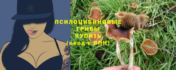 дистиллят марихуана Горняк