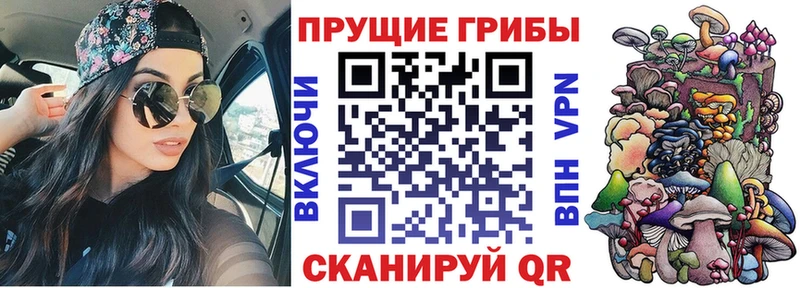 Псилоцибиновые грибы MAGIC MUSHROOMS  Купить закладки  Лакинск 